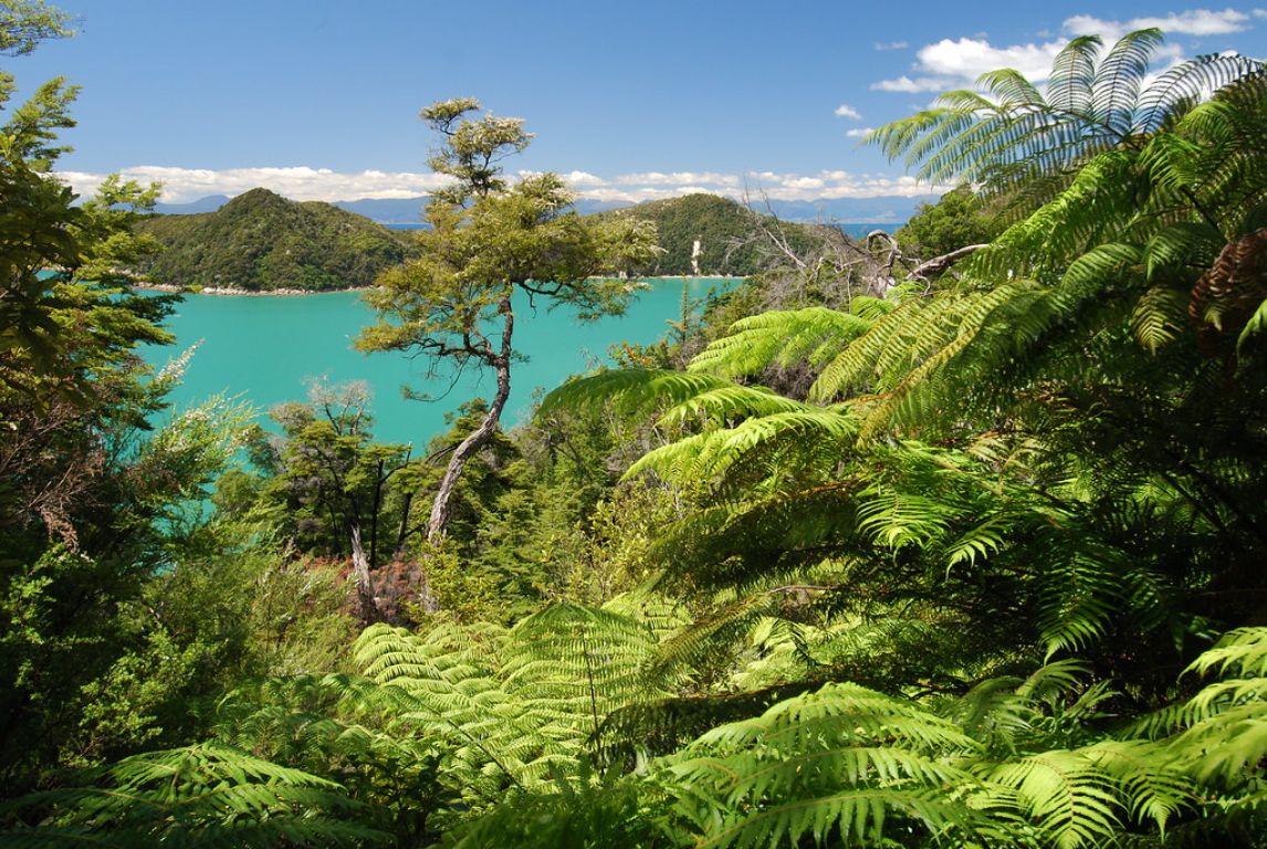 Go camping in Abel Tasman National Park